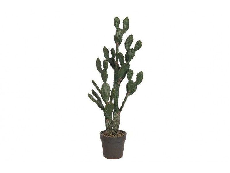 Rośliny sztuczne Kaktus/donica