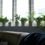 Jasny salon z roślinami na parapecie i skórzaną kanapą